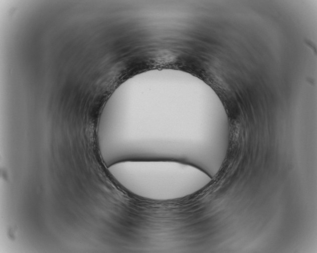 X0000091590565200708200955