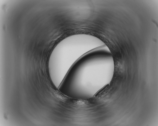 X0000091590566200708200955