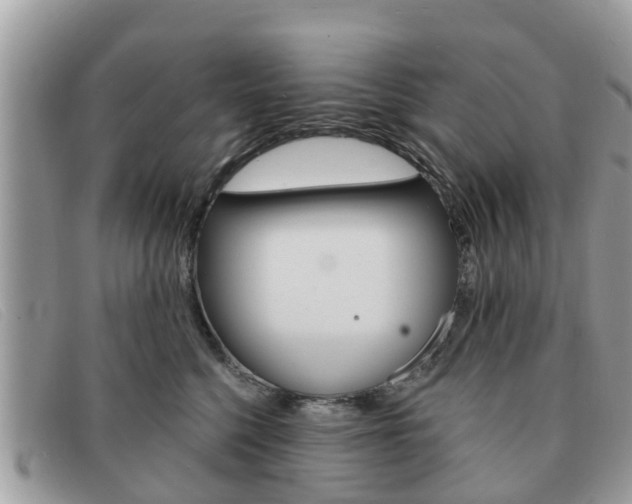 X0000091590568200708200955