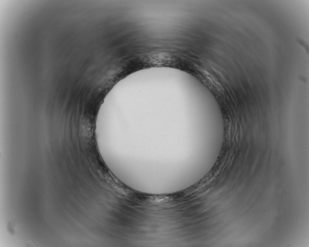 X0000091590569200708200955