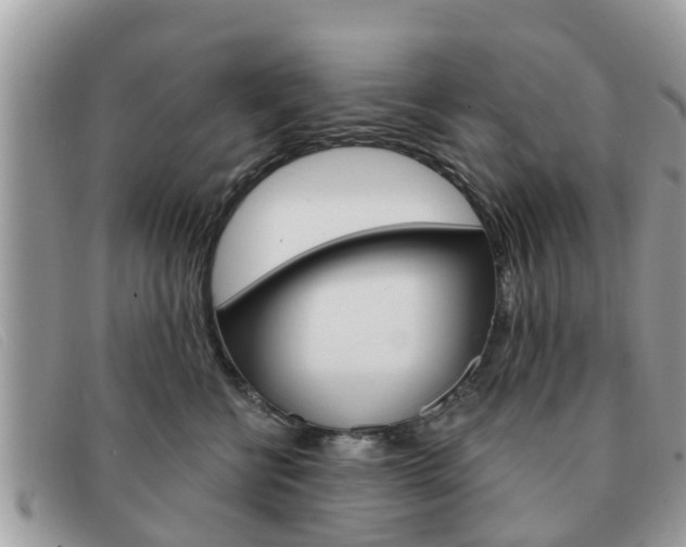 X0000091590570200708200955