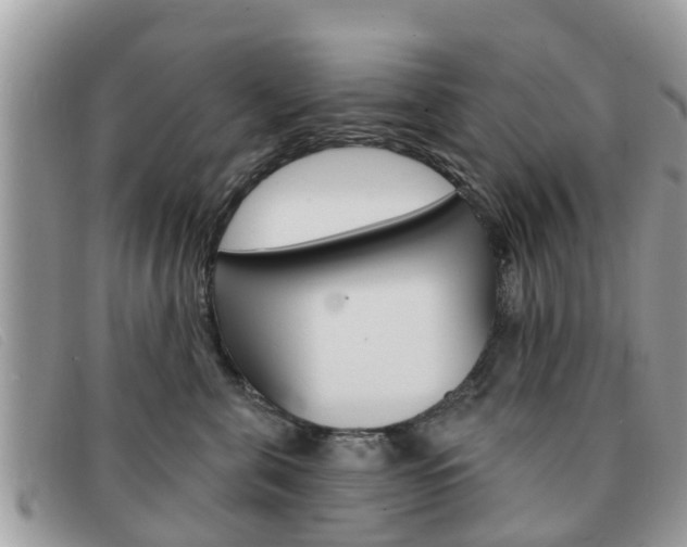 X0000091590571200708200955
