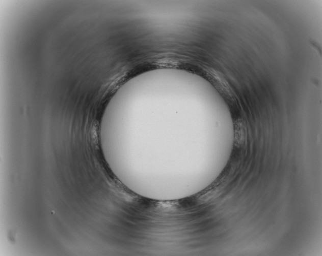 X0000091590573200708200955