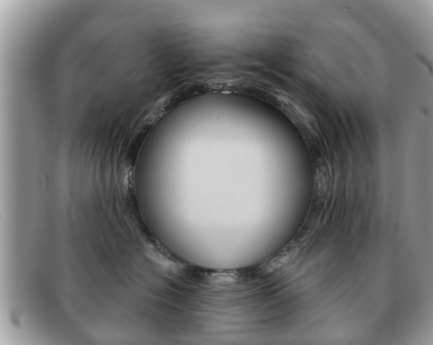 X0000091590574200708200955