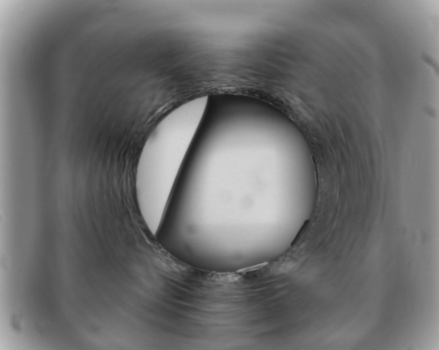 X0000091590576200708200955