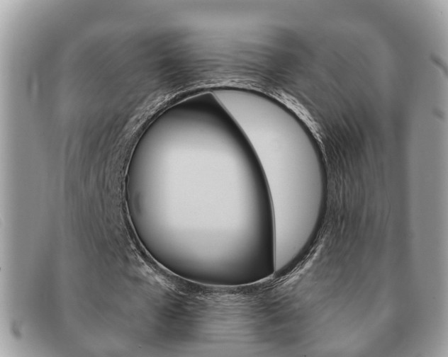 X0000091590577200708200954