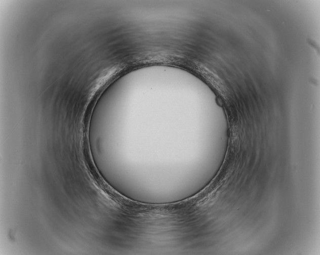 X0000091590578200708200954