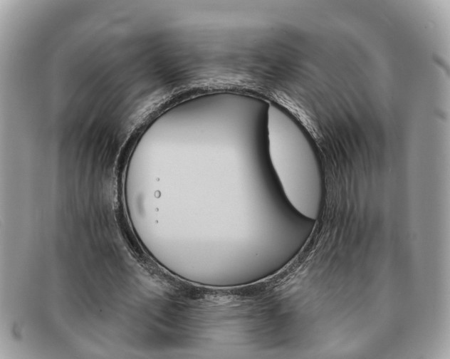 X0000091590582200708200954