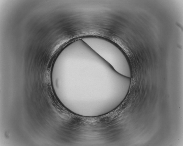 X0000091590583200708200954