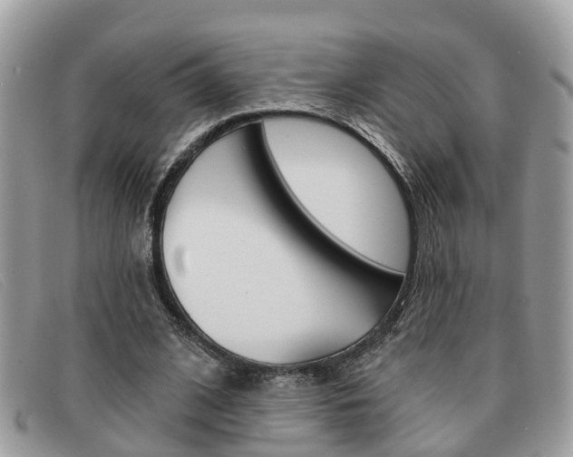 X0000091590584200708200954