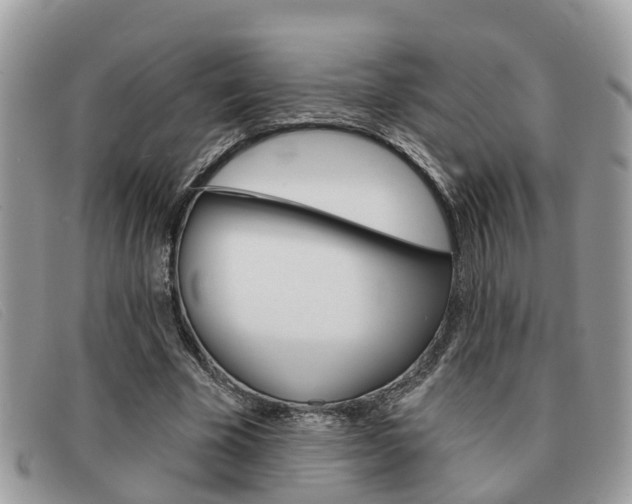 X0000091590585200708200954