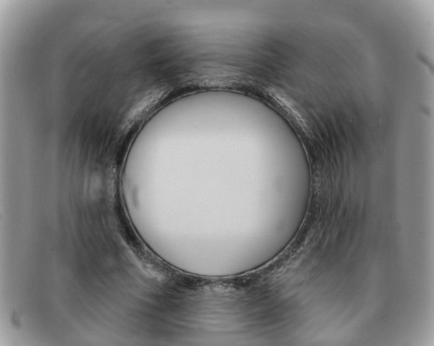 X0000091590586200708200954
