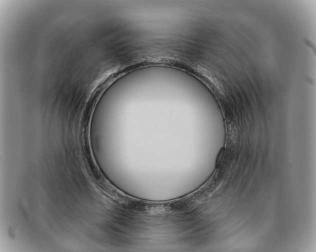 X0000091590587200708200954