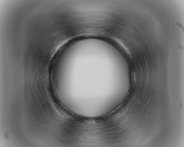 X0000091590588200708200954
