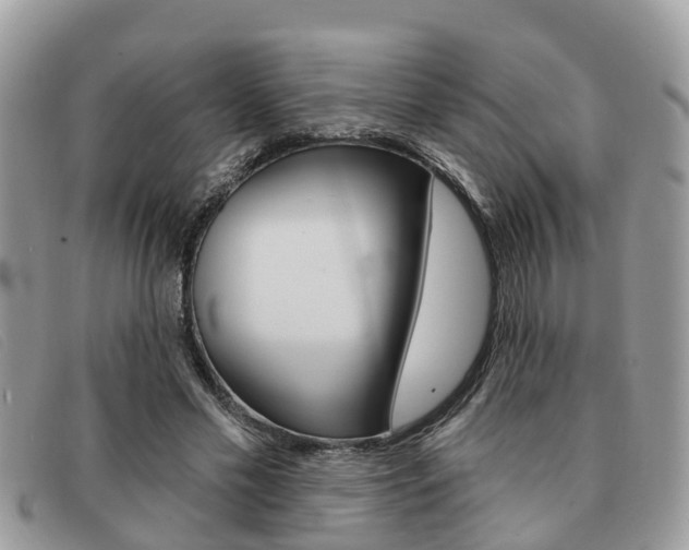 X0000091590589200708200954