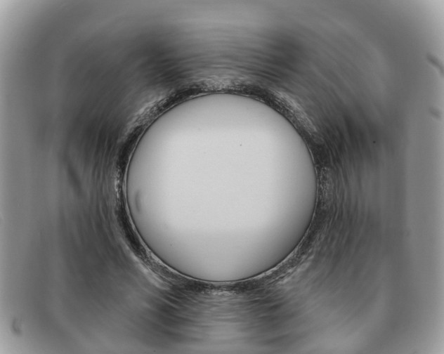 X0000091590590200708200954