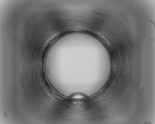 X0000091590591200708200954