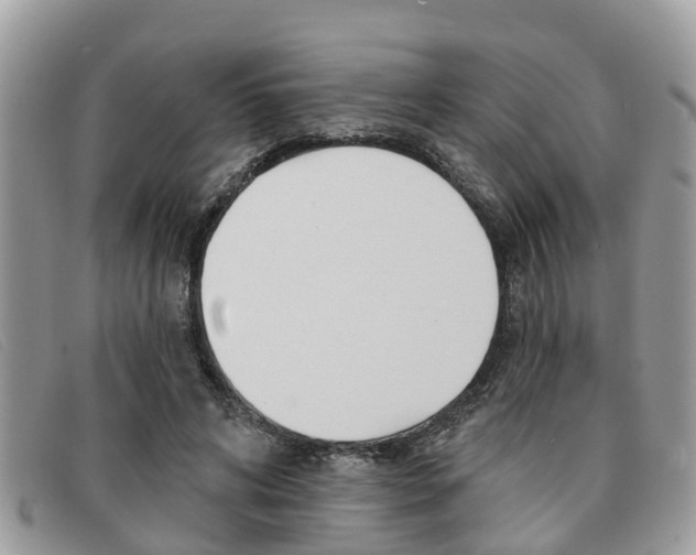X0000091590592200708200954