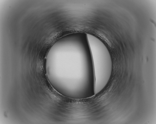 X0000091590593200708200954