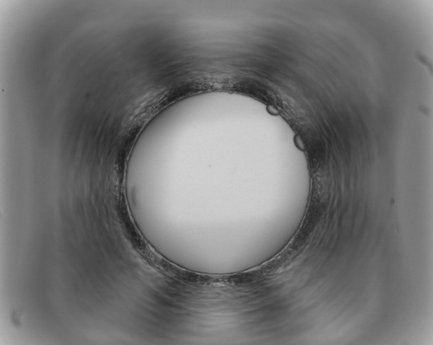 X0000091590594200708200954