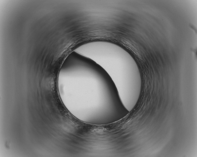 X0000091590595200708200954