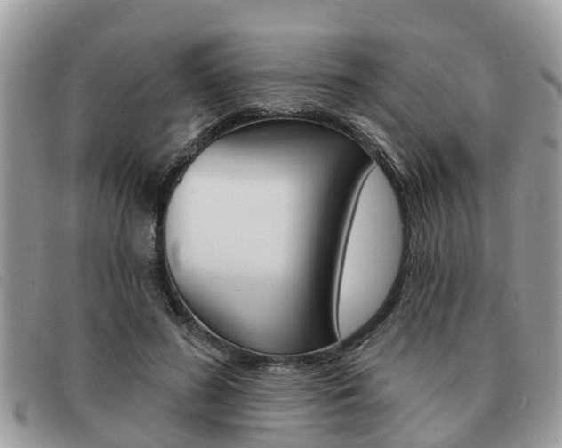 X0000091590596200708200954