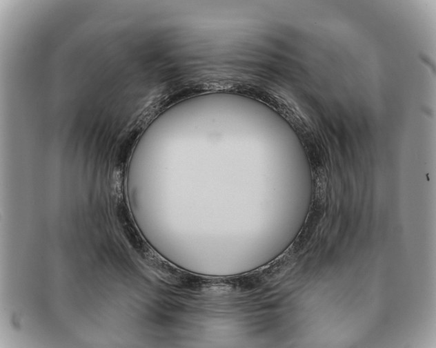 X0000091590598200708200954