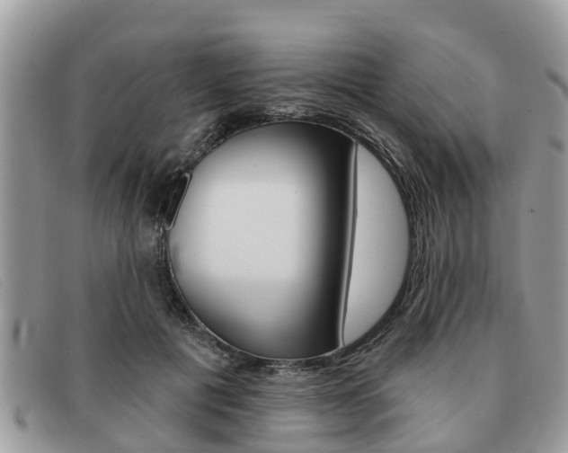 X0000091590601200708200954