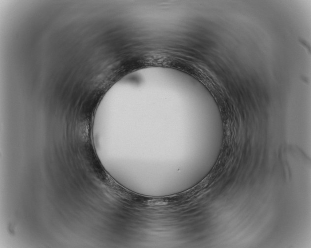 X0000091590602200708200953