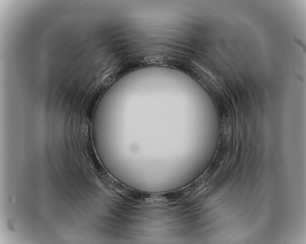X0000091590603200708200953