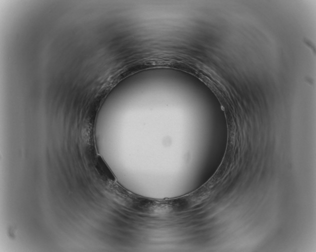 X0000091590604200708200953