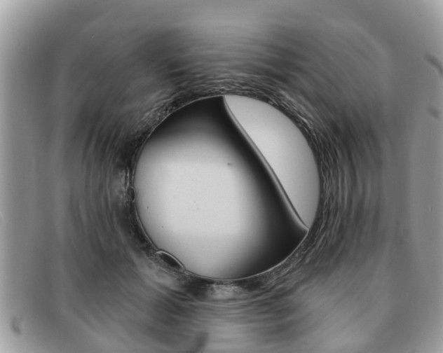 X0000091590605200708200953