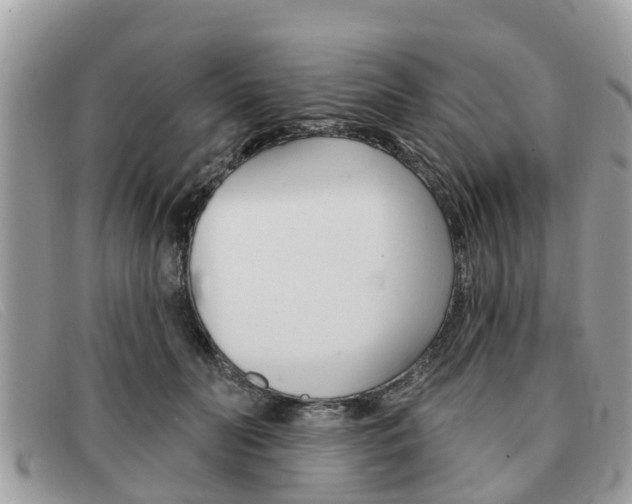 X0000091590606200708200953