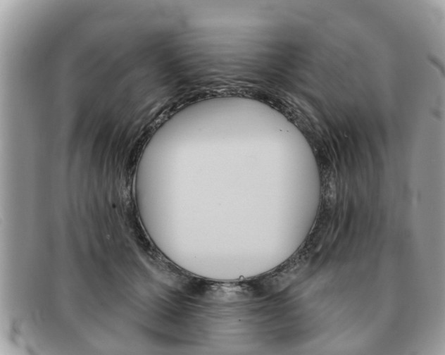 X0000091590607200708200953