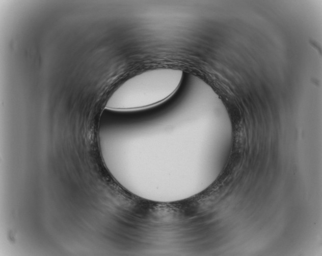 X0000091590608200708200953