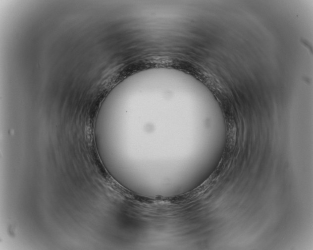 X0000091590609200708200953