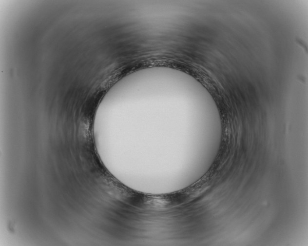 X0000091590610200708200953