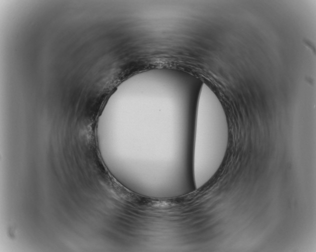 X0000091590611200708200953