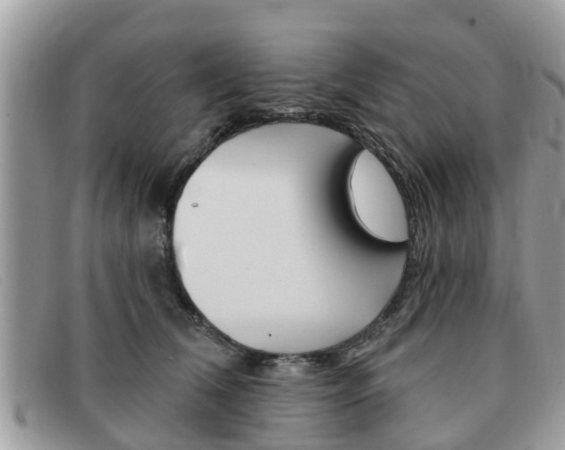 X0000091590612200708200953