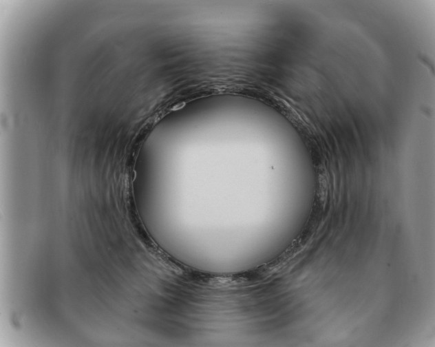 X0000091590613200708200953