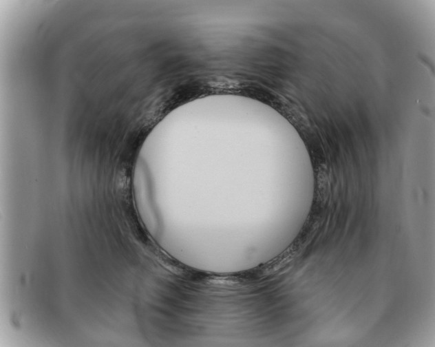 X0000091590614200708200953