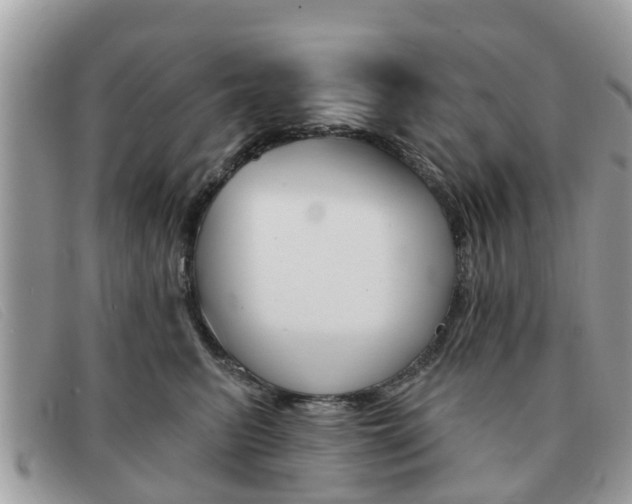 X0000091590615200708200953