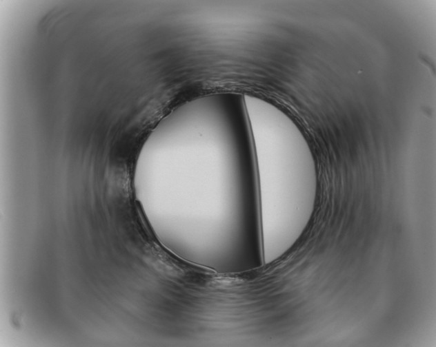 X0000091590617200708200953
