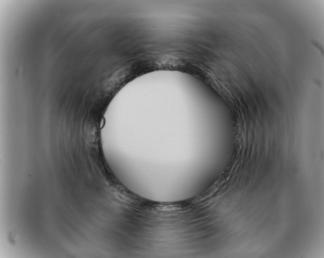 X0000091590619200708200953