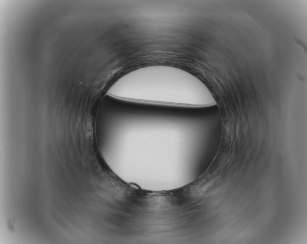 X0000091590620200708200953