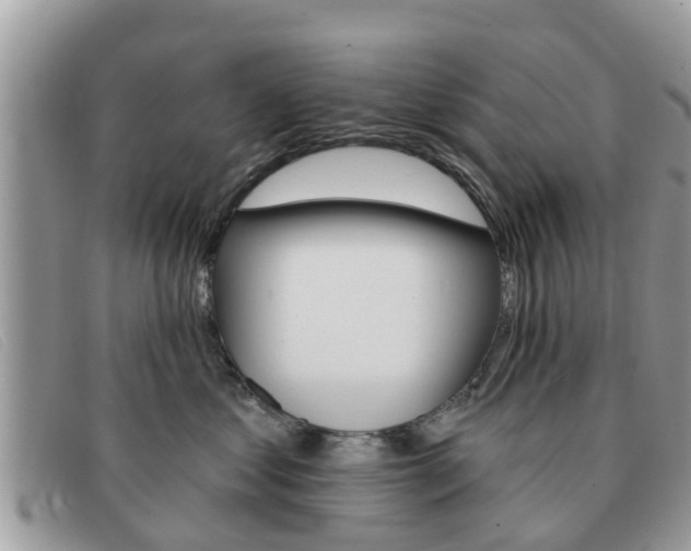 X0000091590621200708200953