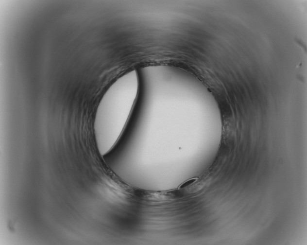 X0000091590623200708200953