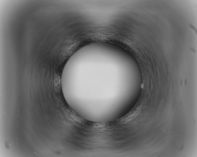 X0000091590624200708200953