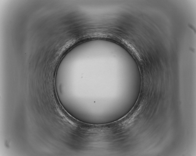 X0000091590625200708200953