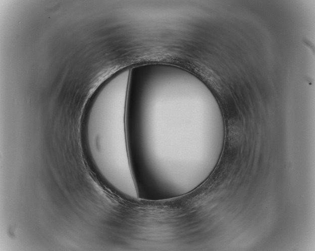 X0000091590626200708200953